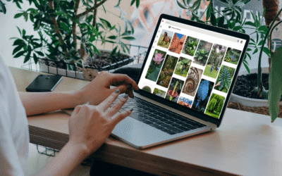 Pinterest Is a Search Engine: Are You Treating It Like One?