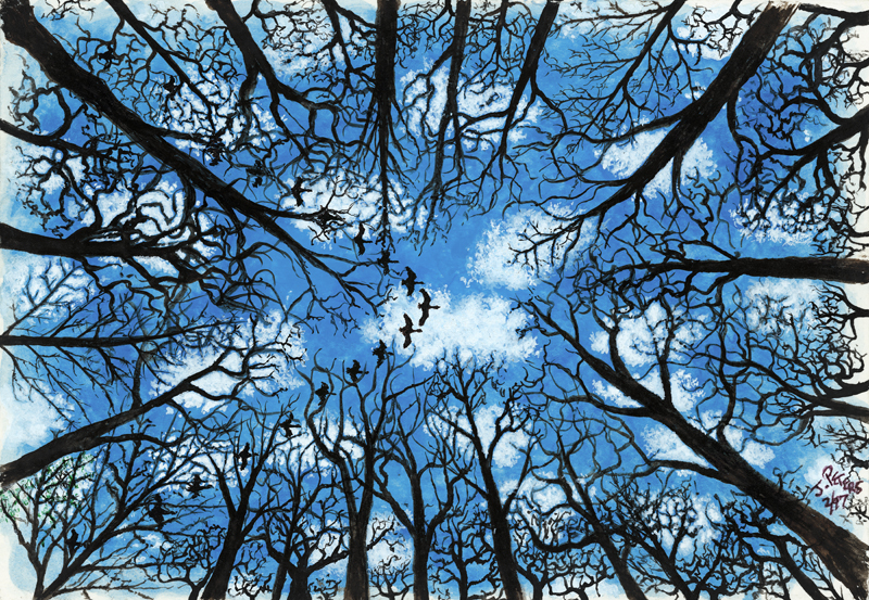 John Francis Peters Art Winter Woods